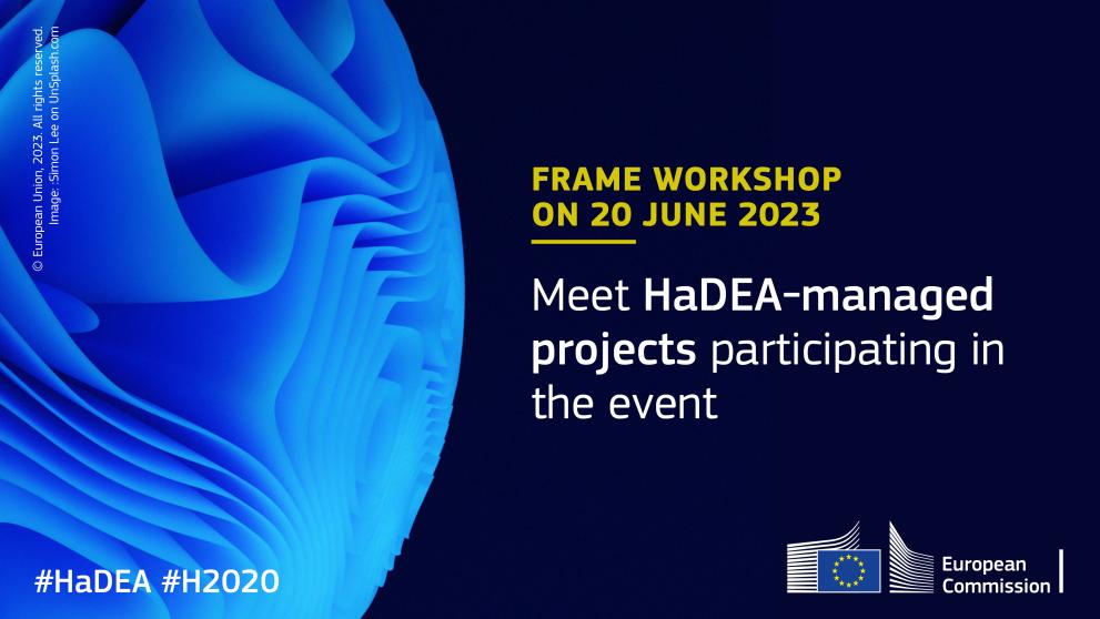 FRAME Workshop on 20 June 2023 - meet HaDEA-managed projects participating in the event