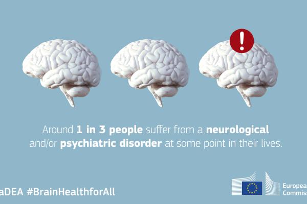 Around 1 in 3 people suffer from a neurological and/or psychiatric disorder at some point in their lives
